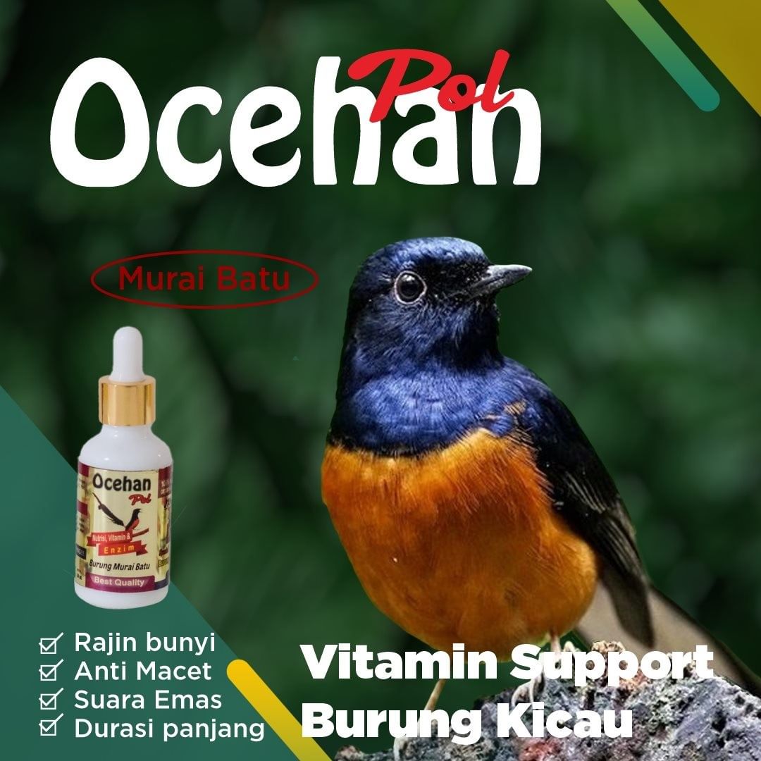 vitamin burung murai