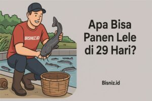 panen lele 29 hari