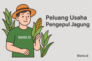 Peluang Usaha Pengepul Jagung